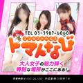 トマトなび 8