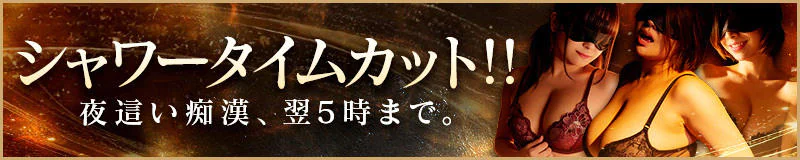 あなたの願望 即!叶えます~本格的夜這い痴漢専門店~ 3