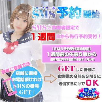 ベイキュート 6
