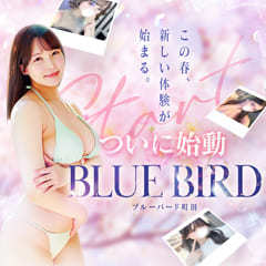 BLUE BIRD(ブルーバード)町田