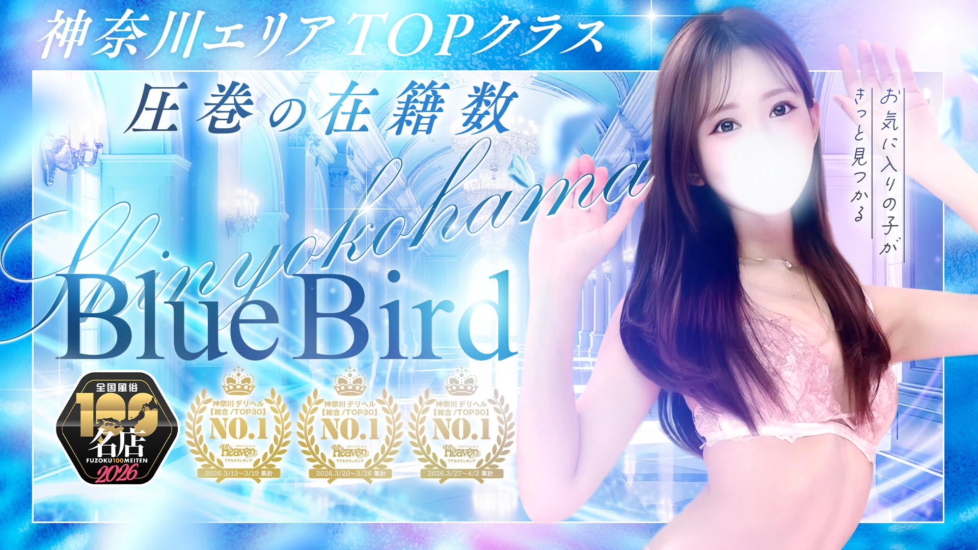 BLUE BIRD(ブルーバード)新横浜 4