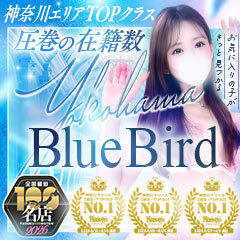 BLUE BIRD(ブルーバード)横浜