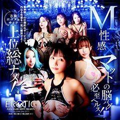 カワサキEROTICマットヘルス