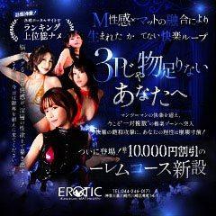 カワサキEROTICマットヘルス