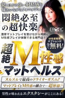 カワサキEROTICマットヘルス