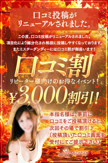 ミスターダンディー 10