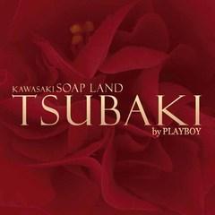 ツバキ by プレイボーイ