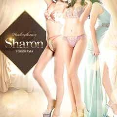 ＹＥＳグループヨコハマ　Ｓｈａｒｏｎ　ＹＯＫＯＨＡＭＡ