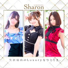 ＹＥＳグループヨコハマ　Ｓｈａｒｏｎ　ＹＯＫＯＨＡＭＡ